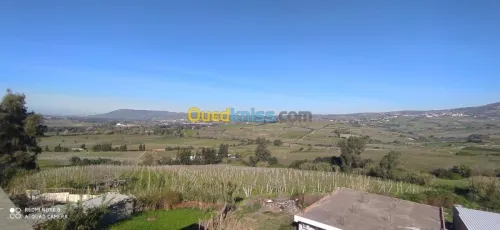 Vente Villa Boumerdes Baghlia