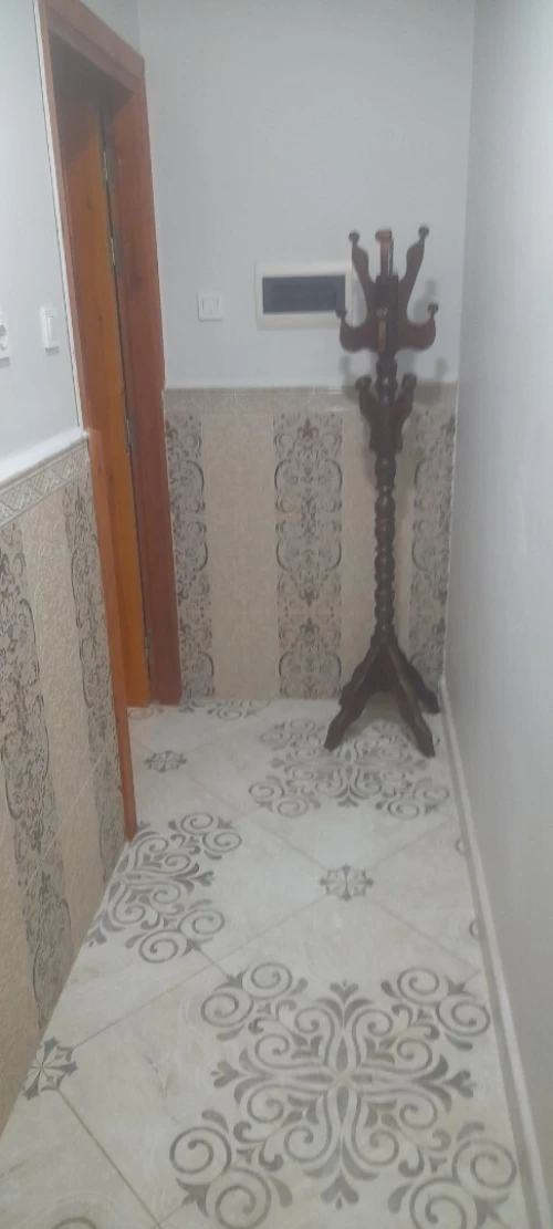 Location Appartement Niveau de villa Studio Blida Ouled yaich