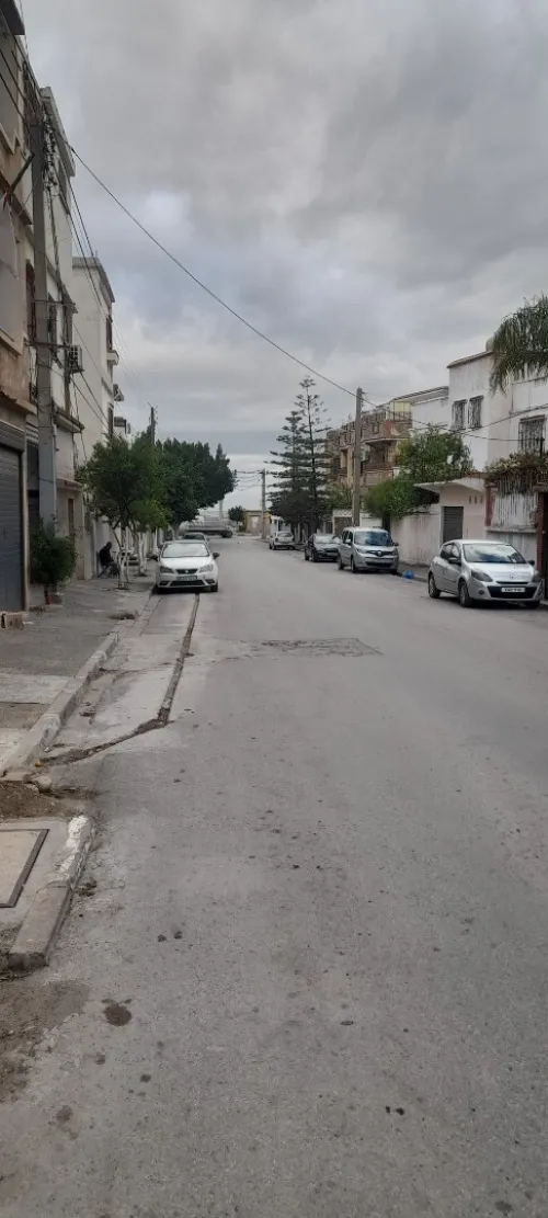 Vente Terrain Blida Blida