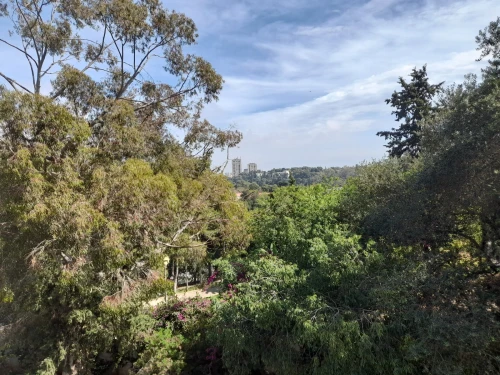 Vente Terrain Alger Hydra