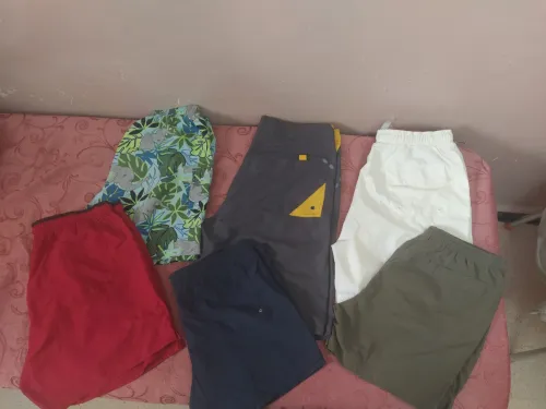 Pantacourt bermuda short 