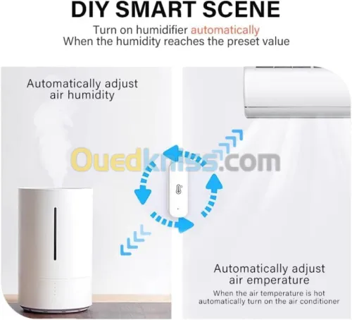 Détecteur humidité température WiFi 
