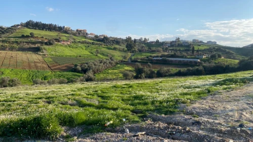Vente Terrain Boumerdes Larbatache