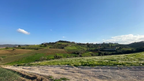 Vente Terrain Boumerdes Larbatache