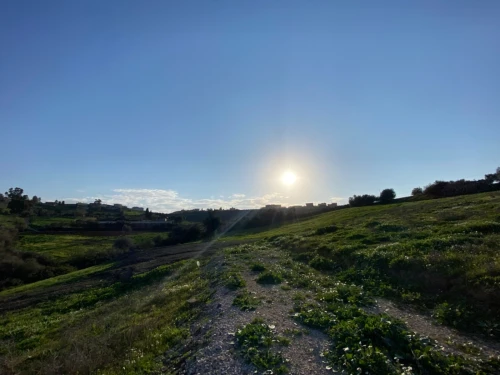 Vente Terrain Boumerdes Larbatache