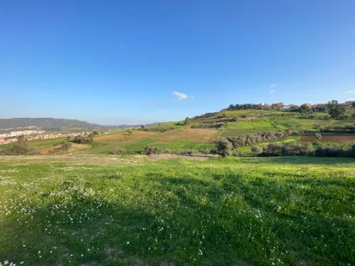 Vente Terrain Boumerdes Larbatache