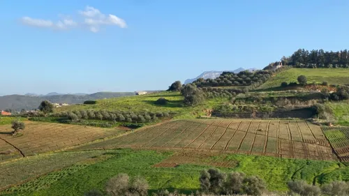 Vente Terrain Boumerdes Larbatache