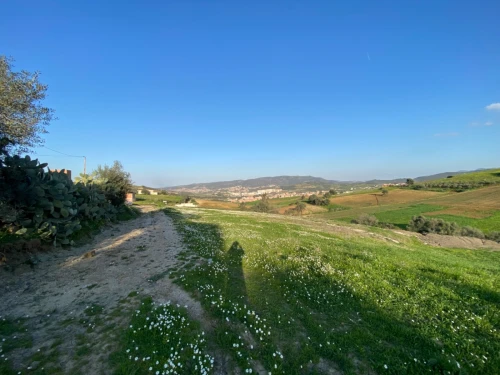 Vente Terrain Boumerdes Larbatache