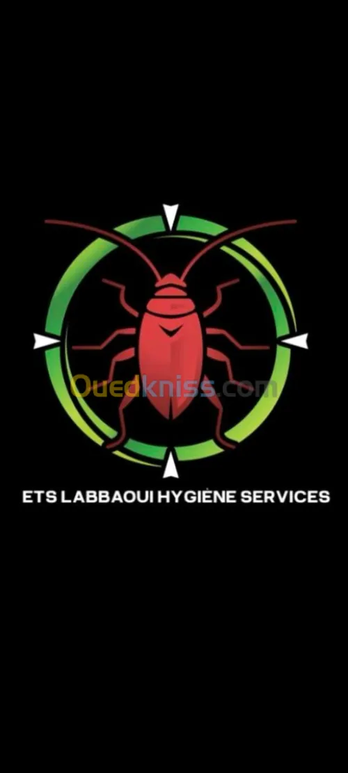 Dératisation Efficace Algérie | ProClean 3D Contre Rats & Souris