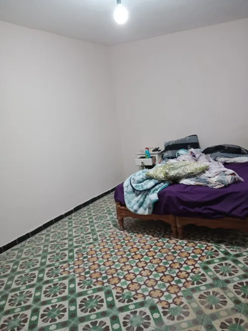 Vente bien immobilier El Tarf Raml souk souarekh