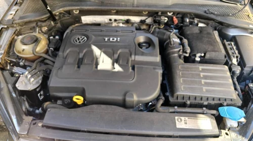 Volkswagen Golf 7 2015 Cup