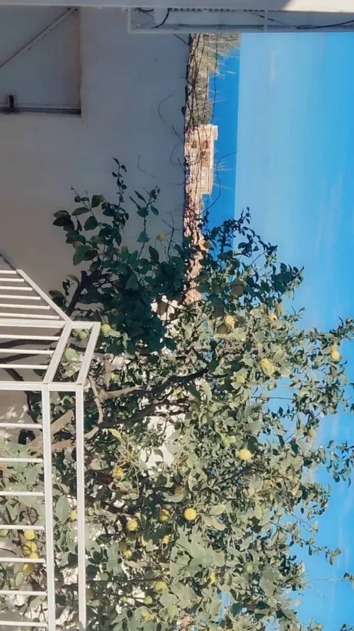 Vente Villa Tipaza Bou ismail