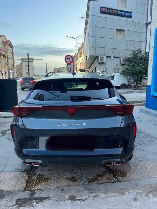 Seat Cupra  2025 Formentor