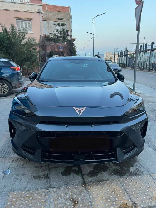Seat Cupra  2025 Formentor