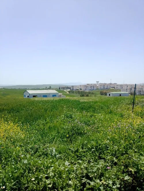 Vente Terrain Constantine El khroub