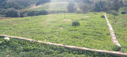 Vente Terrain Mostaganem Sidi lakhdaara