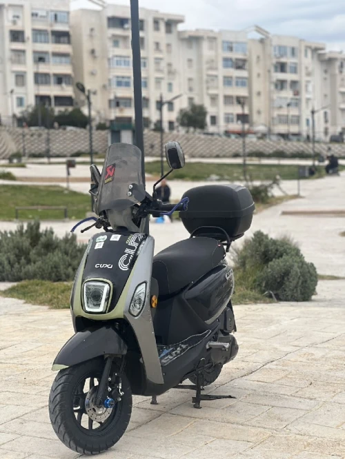 Vms Coxi 2025