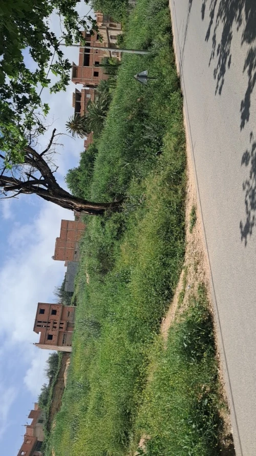Vente Terrain Tlemcen Ouled mimoun