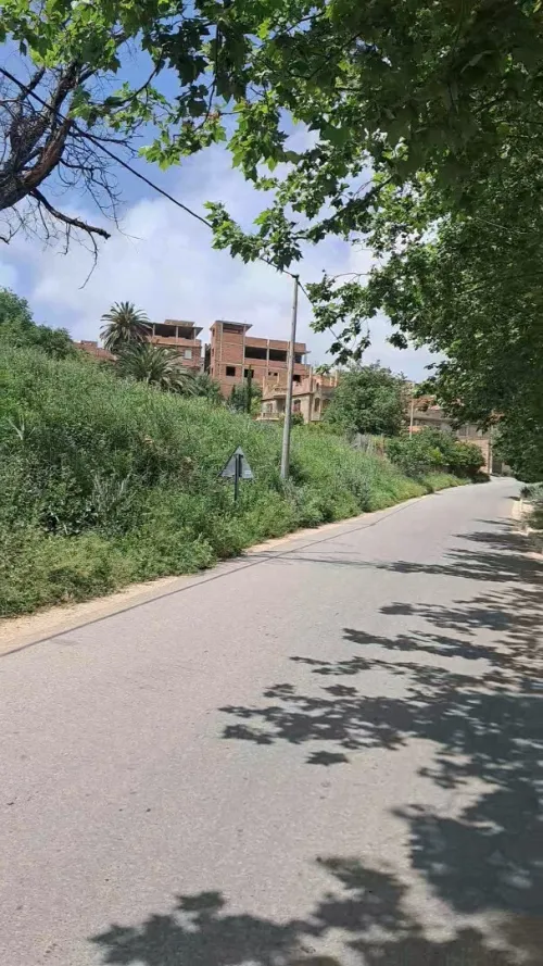 Vente Terrain Tlemcen Ouled mimoun