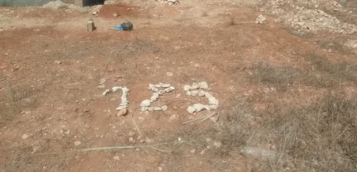 Vente Terrain Tlemcen Msirda fouaga