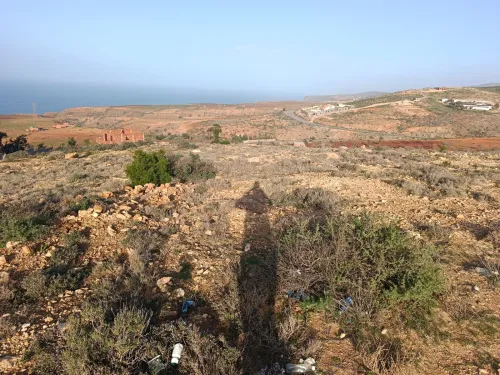 Vente Terrain Tlemcen Bab el assa