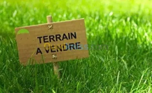 Vente Terrain Alger Baraki