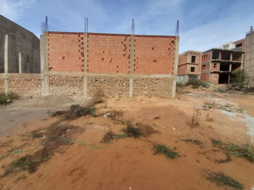 Vente Terrain Mostaganem Sayada