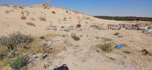 Vente Terrain Biskra Tolga