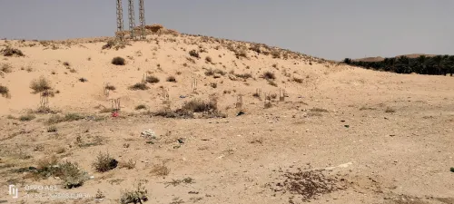Vente Terrain Biskra Tolga