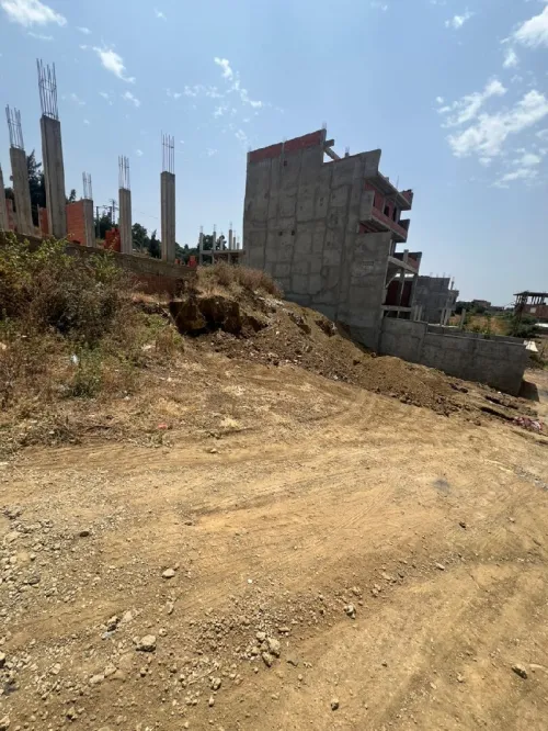 Vente Terrain Blida Guerrouaou