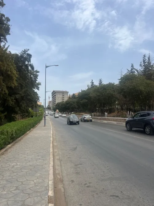 Location Local Alger Staoueli