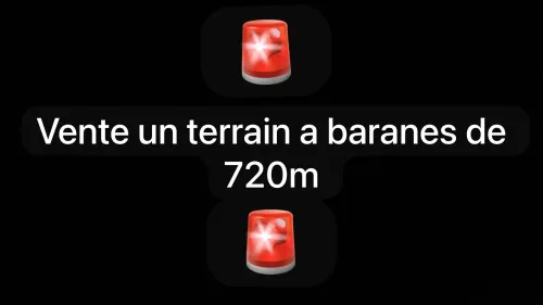 Vente Terrain Alger Bouzareah