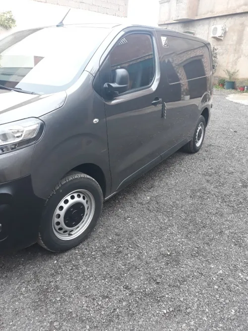Fiat Scodo 2023 