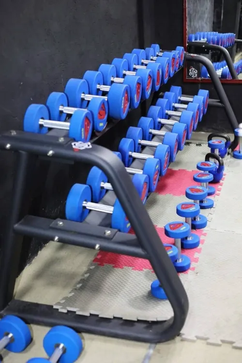 Musculation fitness sport