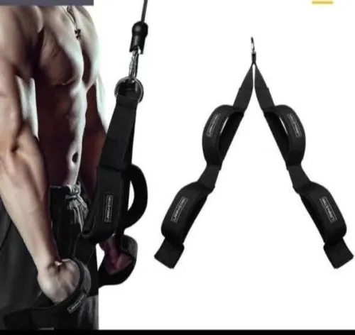 Musculation fitness sport