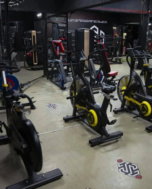Musculation fitness sport