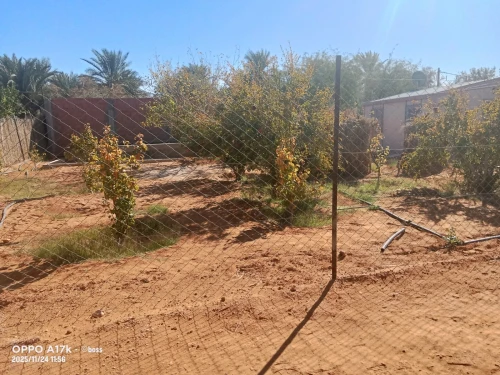 Vente Terrain Agricole Ghardaïa Zelfana
