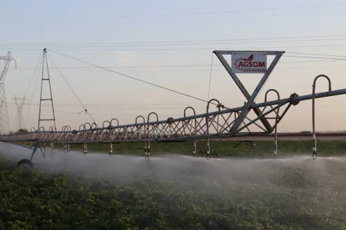 PIVOT AGSOM 1 HA , 2 HA ET 4 HA.