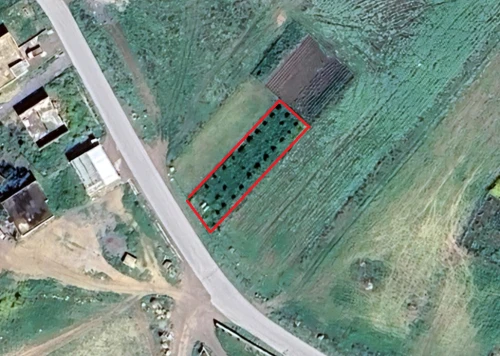 Vente Terrain Mila Mila