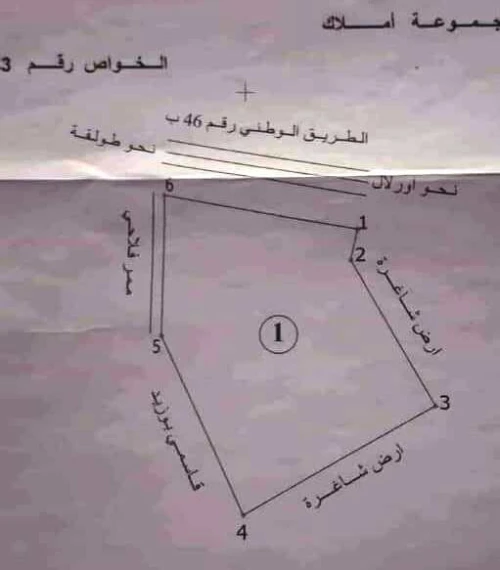 Vente Terrain Agricole Biskra Biskra