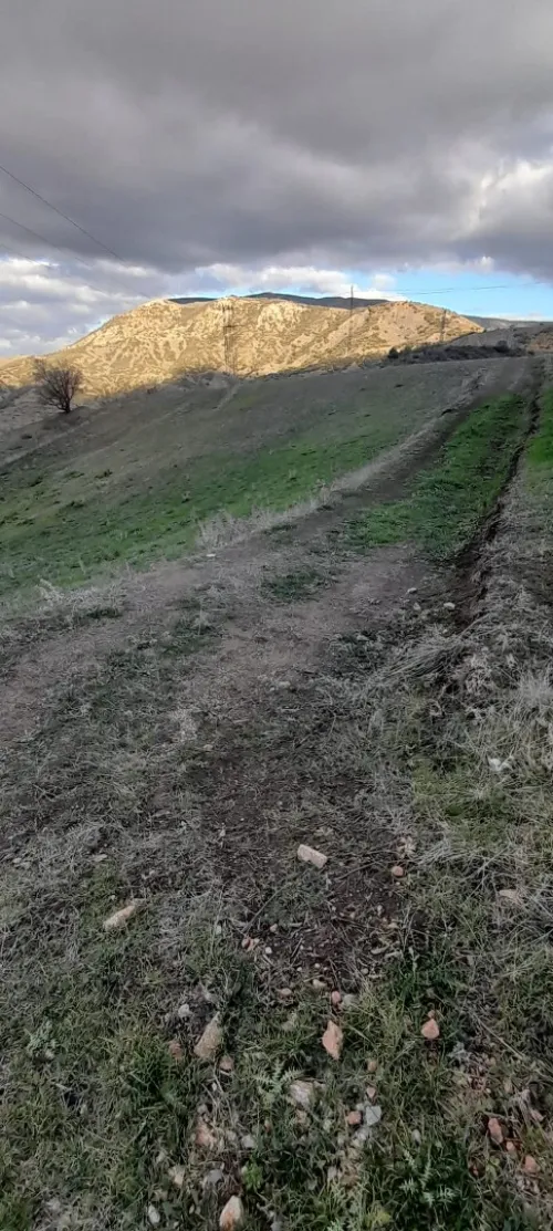 Vente Terrain Sétif Bougaa