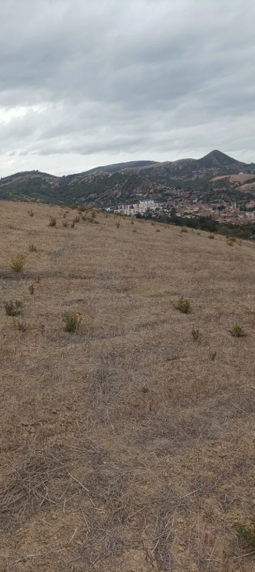 Vente Terrain Tipaza Sidi amar