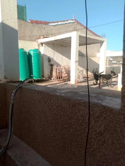Vente Villa Oran Arzew