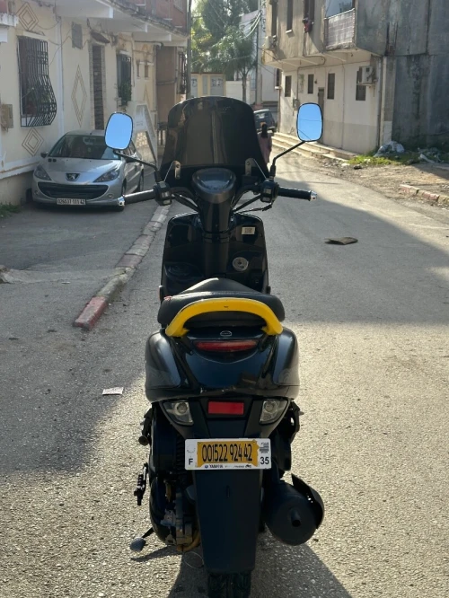 Vms Coxi 2 2024 2024