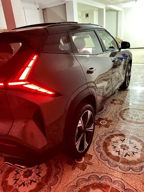 Geely Cityray  2026 10 th Anniversary champion edition 