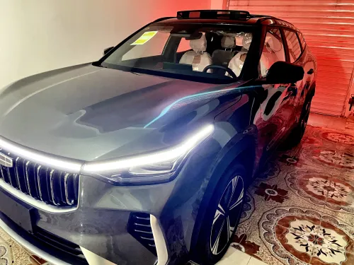 Geely Cityray  2026 10 th Anniversary champion edition 