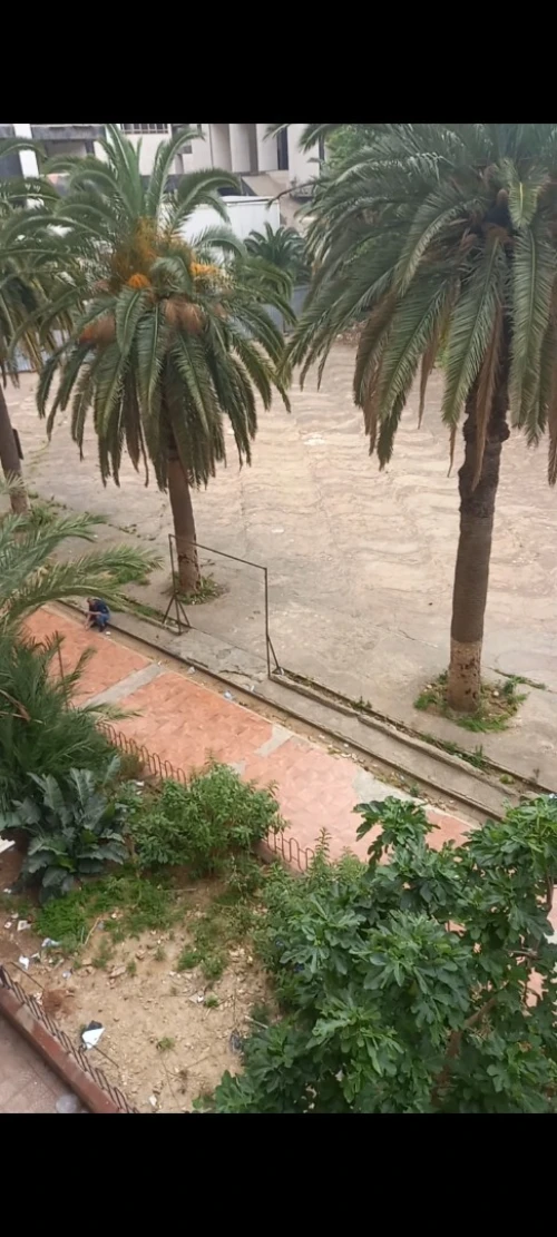 Vente Appartement F3 Alger Sidi mhamed