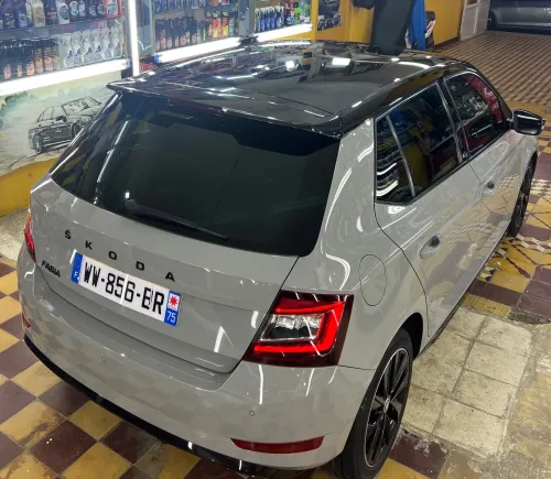 Skoda Fabia 2021 Monte Carlo