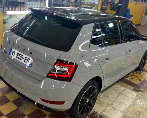Skoda Fabia 2021 Monte Carlo