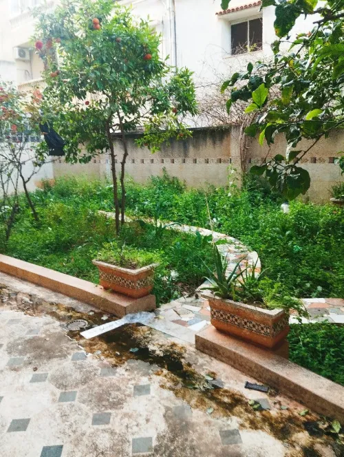 Location Villa Alger Birkhadem